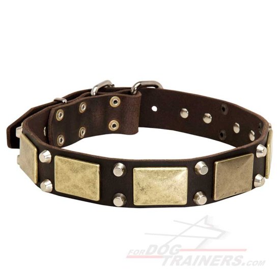 Leather Dog Collar with Studs and Plates