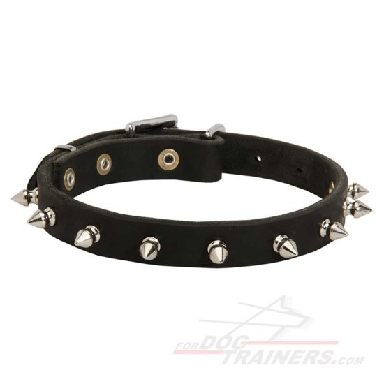 Dog Leather Collar Spiked 3/4 Inch