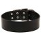 Extra Wide Leather Dog Collar for Professional Training