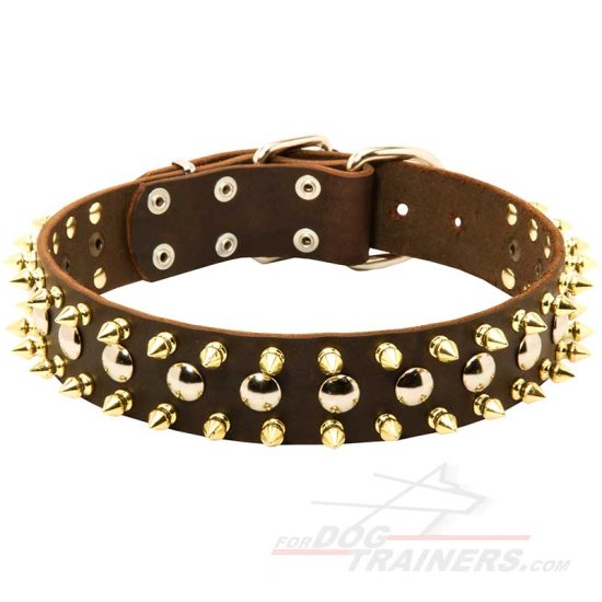 Spiked and Studded Dog Leather Collar