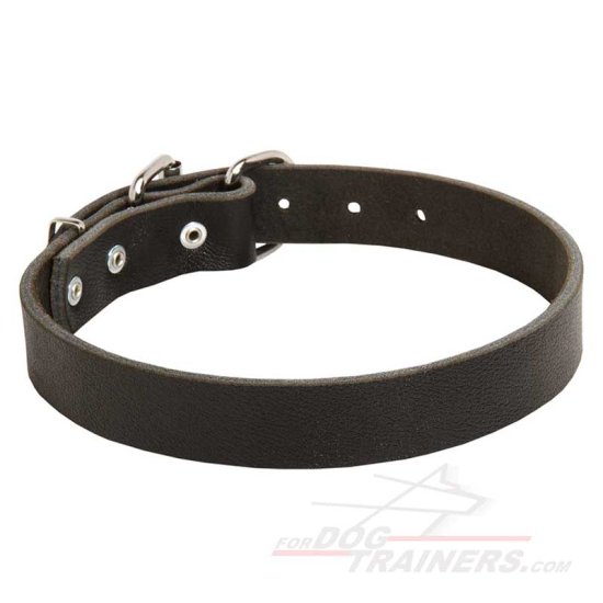 Leather Dog Collar for Pleasant Wearing