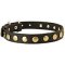 Leather Dog Collar with Brass Circles for Fashionable Walking