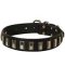 Dog Leather Collar with Shiny Plates