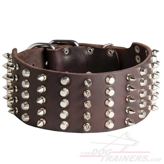 Dog Leather Collar Spiked and Studded