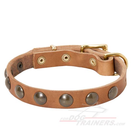 Leather Dog Collar with Brass Half-Ball Studs