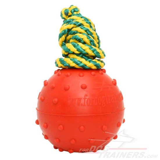 Medium Water Floating Rubber Dog Ball for Training