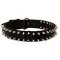Dog Nylon Collar Spiked