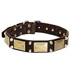 Leather Dog Collar with Studs and Plates