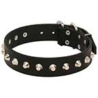 Gorgeous Wide Leather Dog Collar - Fashion Exclusive Design