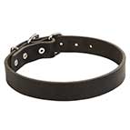 Leather Dog Collar for Pleasant Wearing
