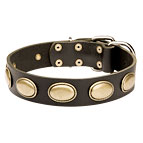 Designer Leather Dog Collar with Oval Plates