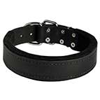 Dog Durable Padded Leather Collar 40 mm