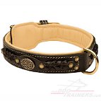 Dog Leather Collar Braided