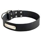 Classic Leather Dog Collar with Identification Tag