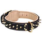 Royal Leather Dog Collar Spiked Padded with Nappa Leather
