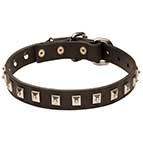 Dog Leather Collar Caterpillar Design