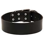Extra Wide Leather Dog Collar for Professional Training