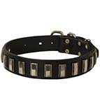 Dog Leather Collar with Shiny Plates