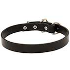 Dog Leather Dog Collar 1 inch Wide