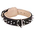 Spiked Dog Collar Padded with Nappa Leather