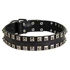 New Leather Dog Collar - Fashion Exclusive Design - "Caterpillar"
