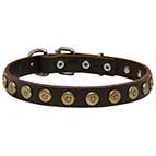 Leather Dog Collar with Brass Dotted Circles for Fashion Walking