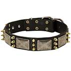 Spiked Leather Dog Collar with Nickel Plates