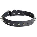 Dog Leather Collar Spiked 30 mm