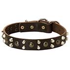 Leather Dog Collar With Studs and Pyramids
