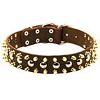 Spiked and Studded Dog Leather Collar