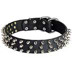 Leather Dog Collar with 3 Rows of Nickel Spikes