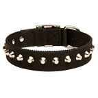 Exclusive Nylon Dog Collar with Awesome Nickel Cones