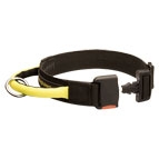 Gorgeous Wide Nylon Dog Collar With Quick Release Buckle and Handle