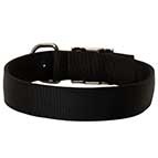 2 Ply Nylon Dog Collar