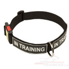 All Weather Nylon Dog Collar with ID Patches
