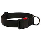 Any-Weather Nylon Dog Collar With Quick Release Buckle for Training and Walking