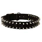Dog Nylon Collar Spiked