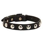 Beautiful Leather Dog Collar Decorated with Half-Ball Studs