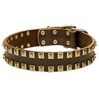 2 Rows Brass Studded Leather Dog Collar for Walking and Training