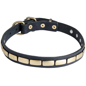 Walking Leather Collar with Brass Decoration for Dog