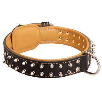 Dog Collar Leather Spiked Padded