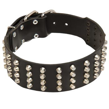 2 Inches Leather 
Dog Collar Extra Wide Studded