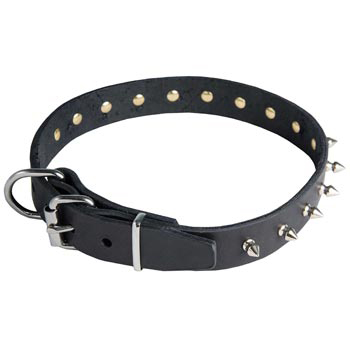 Dog Leather Collar with Spikes