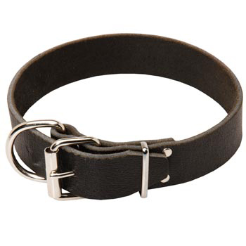 Dog Leather Collar