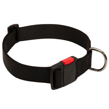 Nylon Dog Collar for Training and Waling