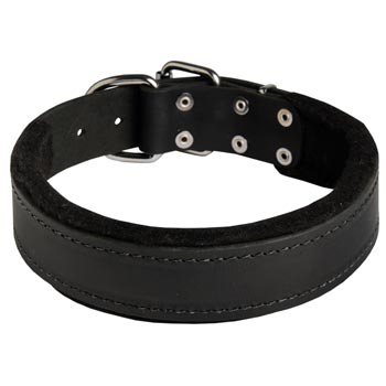 Adjustable Dog Collar