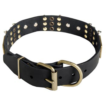 Studded Leather Dog Collar for Walking