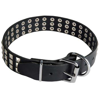 Leather Collar with Pyramids for Dog