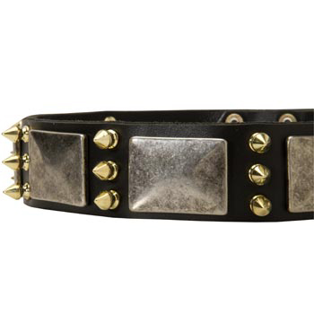 Stylish Leather Dog Collar