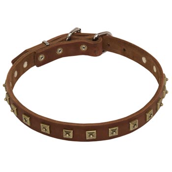 Dog Leather Collar For Walking And Training in Style